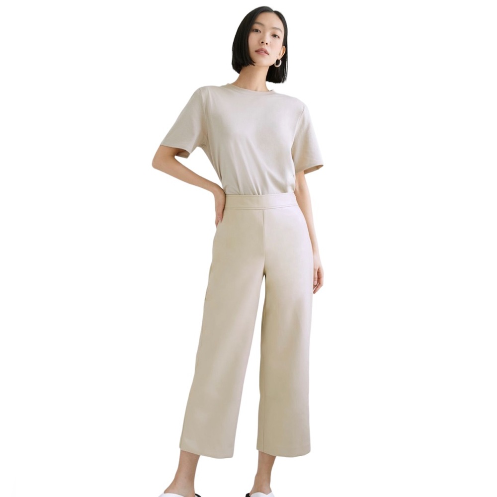Aritzia Babaton Cynthia High Rise Culottes Vegan Leather Wide Leg Beige Pants 4